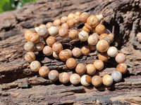 Polished Namibian Desert Picture Stone Jasper Beaded Stretch Buddha Bracelet - Sold Per Item - From Namibia