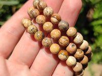 Polished Namibian Desert Picture Stone Jasper Beaded Stretch Buddha Bracelet - Sold Per Item - From Namibia