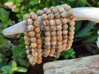 Polished Namibian Desert Picture Stone Jasper Beaded Stretch Buddha Bracelet - Sold Per Item - From Namibia