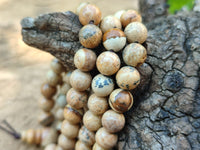 Polished Namibian Desert Picture Stone Jasper Beaded Stretch Buddha Bracelet - Sold Per Item - From Namibia