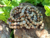 Polished Namibian Desert Picture Stone Jasper Beaded Stretch Buddha Bracelet - Sold Per Item - From Namibia