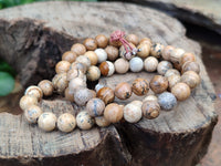 Polished Namibian Desert Picture Stone Jasper Beaded Stretch Buddha Bracelet - Sold Per Item - From Namibia