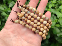 Polished Namibian Desert Picture Stone Jasper Beaded Stretch Buddha Bracelet - Sold Per Item - From Namibia