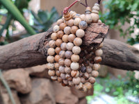 Polished Namibian Desert Picture Stone Jasper Beaded Stretch Buddha Bracelet - Sold Per Item - From Namibia