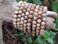 Polished Namibian Desert Picture Stone Jasper Beaded Stretch Buddha Bracelet - Sold Per Item - From Namibia