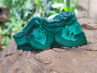 Polished Flower Banded Malachite Slices x 12 From Congo