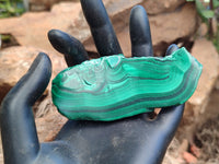 Polished Flower Banded Malachite Slices x 12 From Congo