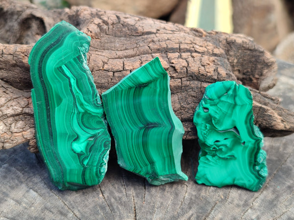 Polished Flower Banded Malachite Slices x 12 From Congo