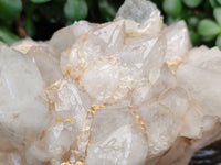 Natural Candle Quartz Clusters x 2 From Madagascar