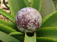 Polished Rubellite Pink Tourmaline Matrix Spheres x 2 From Ambatondrazaka, Madagascar