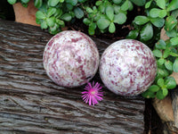 Polished Rubellite Pink Tourmaline Matrix Spheres x 2 From Ambatondrazaka, Madagascar