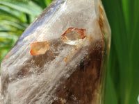 Polished Smokey Quartz Crystal Points x 2 From Zambia