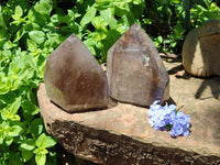 Polished Smokey Quartz Crystal Points x 2 From Zambia