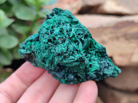 Natural Silky Malachite Specimens x 12 From Kasompe, Congo