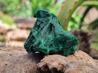 Natural Silky Malachite Specimens x 12 From Kasompe, Congo