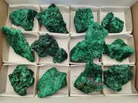 Natural Silky Malachite Specimens x 12 From Kasompe, Congo