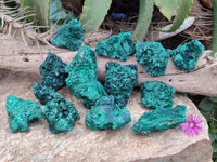 Natural Silky Malachite Specimens x 12 From Kasompe, Congo