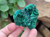 Natural Silky Malachite Specimens x 12 From Kasompe, Congo