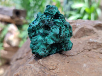 Natural Silky Malachite Specimens x 12 From Kasompe, Congo