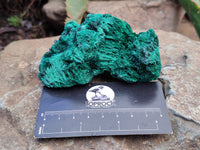 Natural Silky Malachite Specimens x 12 From Kasompe, Congo