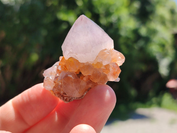 Natural Mixed Spirit Quartz Specimens x 70 From Boekenhouthoek, South Africa