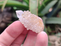 Natural Mixed Spirit Quartz Specimens x 70 From Boekenhouthoek, South Africa