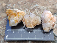 Natural Mixed Spirit Quartz Specimens x 70 From Boekenhouthoek, South Africa