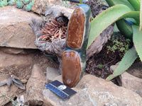 Polished Polychrome Jasper Standing Free Form x 1 From Madagascar