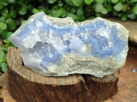 Natural Blue Lace Agate Geode Specimens x 3 From Malawi