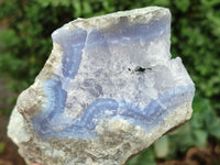 Natural Blue Lace Agate Geode Specimens x 3 From Malawi