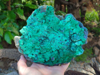 Natural Botryoidal Malachite Specimens x 2 From Tenke Fungurume, Congo