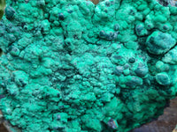 Natural Botryoidal Malachite Specimens x 2 From Tenke Fungurume, Congo