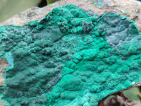 Natural Botryoidal Malachite Specimens x 2 From Tenke Fungurume, Congo