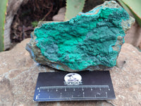 Natural Botryoidal Malachite Specimens x 2 From Tenke Fungurume, Congo