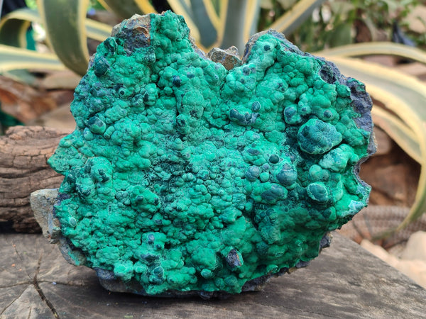 Natural Botryoidal Malachite Specimens x 2 From Tenke Fungurume, Congo