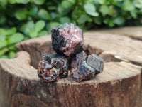 Natural Pyrope Garnet Specimens x 40 From Zimbabwe