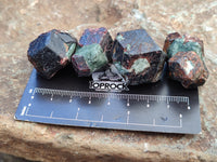 Natural Pyrope Garnet Specimens x 40 From Zimbabwe