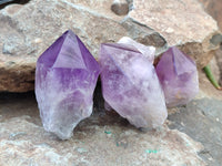 Polished Jacaranda Amethyst Crystals x 6 From Zambia