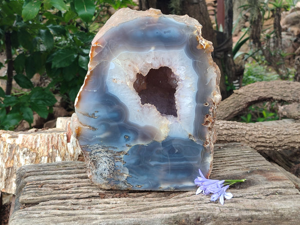 Polished Extra Large Amethyst Agate Geode x 1 From Madagascar