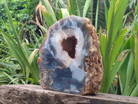 Polished Extra Large Amethyst Agate Geode x 1 From Madagascar