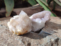 Natural Spirit Quartz Specimens x 20 From Boekenhouthoek, South Africa