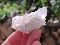 Natural Spirit Quartz Specimens x 20 From Boekenhouthoek, South Africa