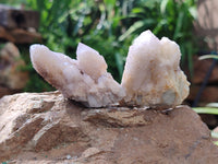 Natural Spirit Quartz Specimens x 20 From Boekenhouthoek, South Africa