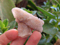 Natural Spirit Quartz Specimens x 20 From Boekenhouthoek, South Africa