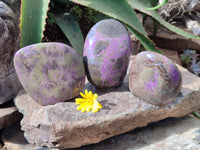 Polished Stichtite Standing Free Forms x 3 From Barberton, South Africa