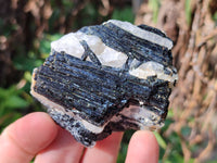 Natural Black Tourmaline On Quartz Matrix Specimens x 12 From Zimbabwe