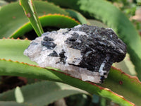 Natural Black Tourmaline On Quartz Matrix Specimens x 12 From Zimbabwe