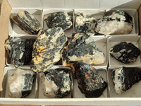 Natural Black Tourmaline On Quartz Matrix Specimens x 12 From Zimbabwe