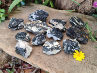 Natural Black Tourmaline On Quartz Matrix Specimens x 12 From Zimbabwe