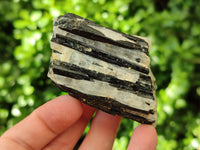 Natural Black Tourmaline On Quartz Matrix Specimens x 12 From Zimbabwe